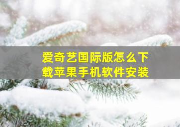 爱奇艺国际版怎么下载苹果手机软件安装