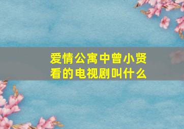 爱情公寓中曾小贤看的电视剧叫什么