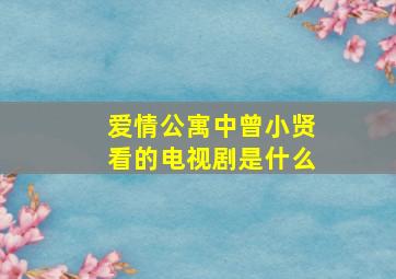 爱情公寓中曾小贤看的电视剧是什么