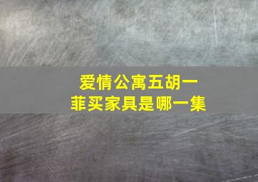 爱情公寓五胡一菲买家具是哪一集