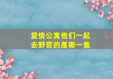 爱情公寓他们一起去野营的是哪一集