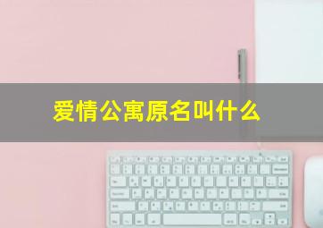 爱情公寓原名叫什么