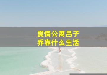 爱情公寓吕子乔靠什么生活