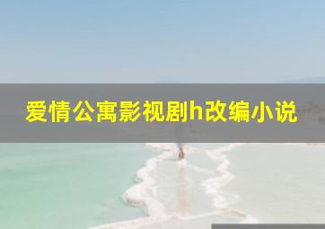 爱情公寓影视剧h改编小说