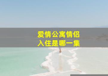 爱情公寓情侣入住是哪一集