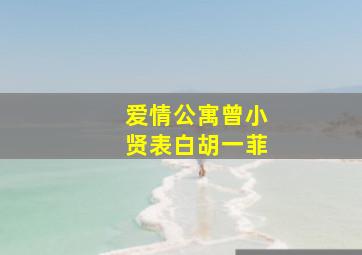 爱情公寓曾小贤表白胡一菲