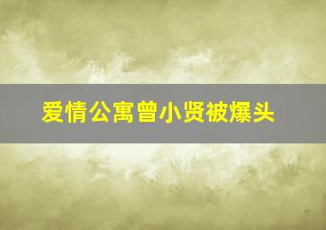 爱情公寓曾小贤被爆头