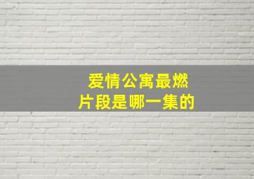 爱情公寓最燃片段是哪一集的