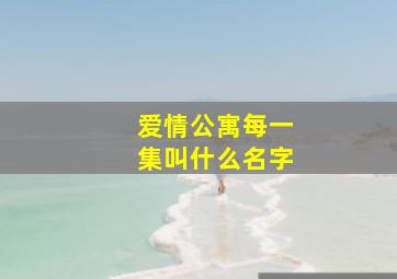 爱情公寓每一集叫什么名字