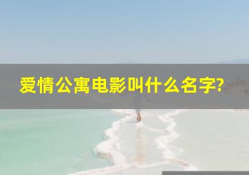 爱情公寓电影叫什么名字?