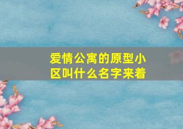 爱情公寓的原型小区叫什么名字来着