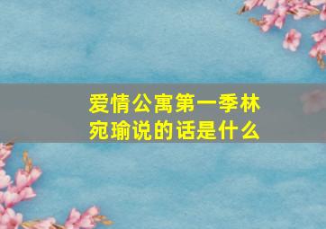 爱情公寓第一季林宛瑜说的话是什么