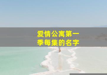 爱情公寓第一季每集的名字