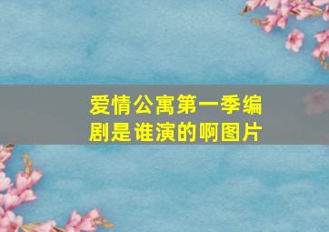 爱情公寓第一季编剧是谁演的啊图片