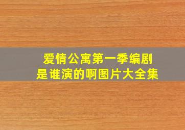 爱情公寓第一季编剧是谁演的啊图片大全集