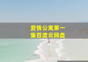 爱情公寓第一集百度云网盘