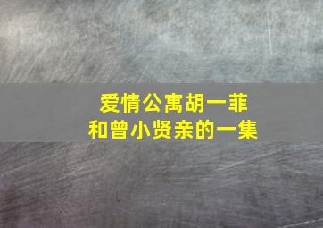 爱情公寓胡一菲和曾小贤亲的一集