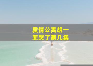 爱情公寓胡一菲哭了第几集