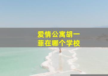 爱情公寓胡一菲在哪个学校