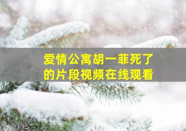 爱情公寓胡一菲死了的片段视频在线观看