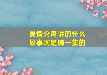 爱情公寓讲的什么故事啊是哪一集的