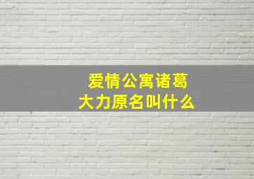 爱情公寓诸葛大力原名叫什么