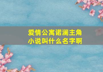 爱情公寓诺澜主角小说叫什么名字啊