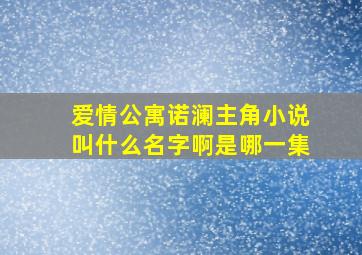 爱情公寓诺澜主角小说叫什么名字啊是哪一集