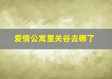 爱情公寓里关谷去哪了