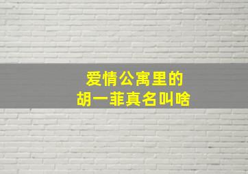 爱情公寓里的胡一菲真名叫啥