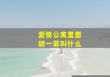 爱情公寓里面胡一菲叫什么