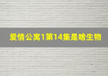 爱情公寓1第14集是啥生物