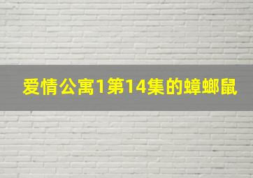 爱情公寓1第14集的蟑螂鼠