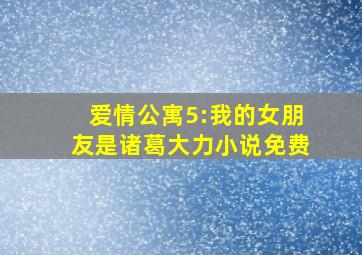 爱情公寓5:我的女朋友是诸葛大力小说免费