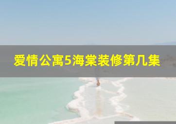 爱情公寓5海棠装修第几集