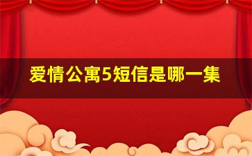 爱情公寓5短信是哪一集