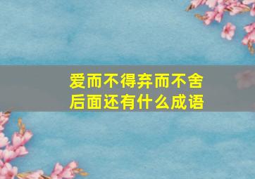 爱而不得弃而不舍后面还有什么成语