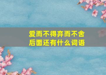 爱而不得弃而不舍后面还有什么词语