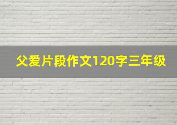 父爱片段作文120字三年级