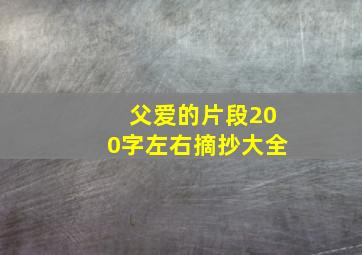 父爱的片段200字左右摘抄大全