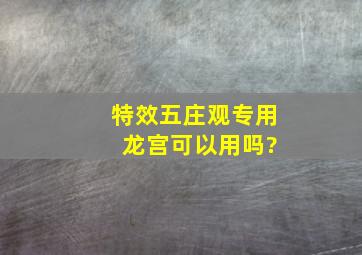 特效五庄观专用 龙宫可以用吗?