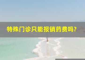 特殊门诊只能报销药费吗?