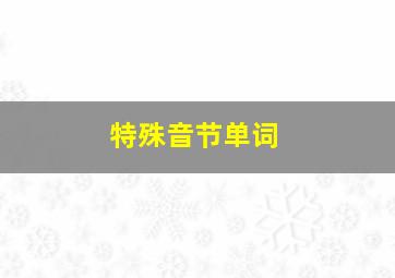 特殊音节单词