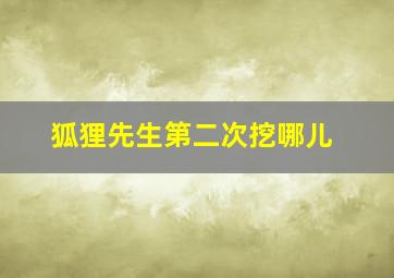 狐狸先生第二次挖哪儿