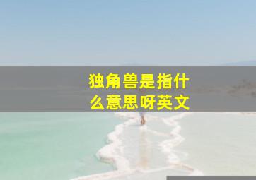 独角兽是指什么意思呀英文