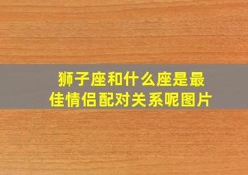 狮子座和什么座是最佳情侣配对关系呢图片