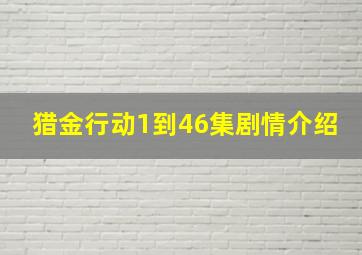 猎金行动1到46集剧情介绍