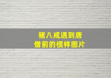 猪八戒遇到唐僧前的模样图片