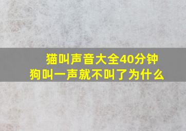 猫叫声音大全40分钟狗叫一声就不叫了为什么