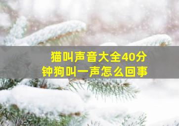 猫叫声音大全40分钟狗叫一声怎么回事